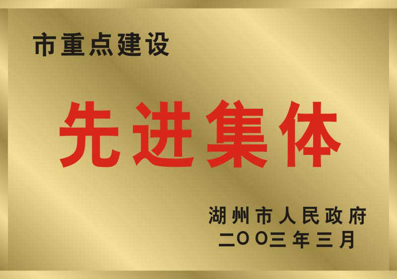 2002年度湖州市重點(diǎn)建設(shè)先進(jìn)集體